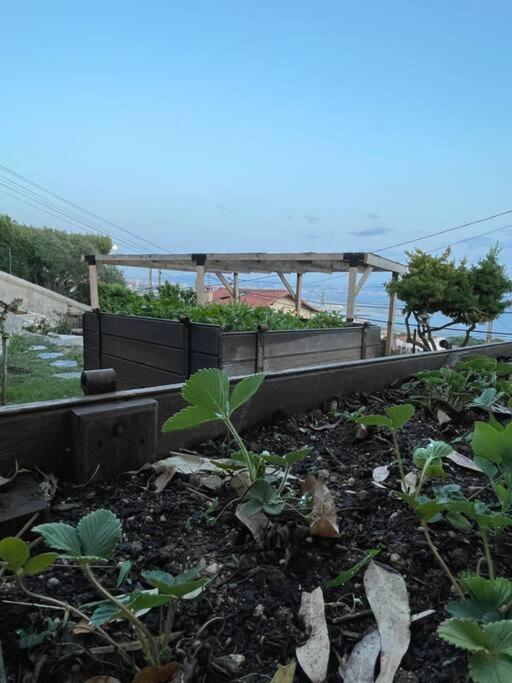 Superbe Terrasse Avec Vue Panoramique Sur La Mer Marseille Exterior photo
